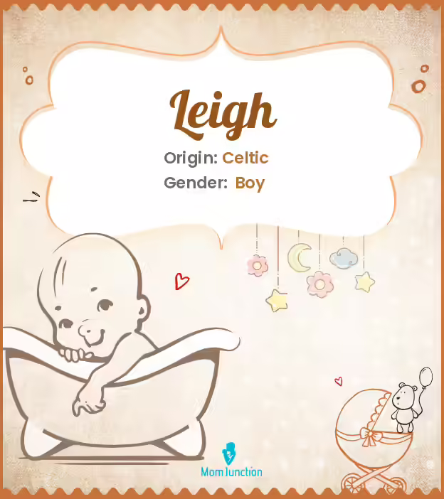 Beyond Leigh Francis Net Worth: Unveiling the Name Leigh's Meaning